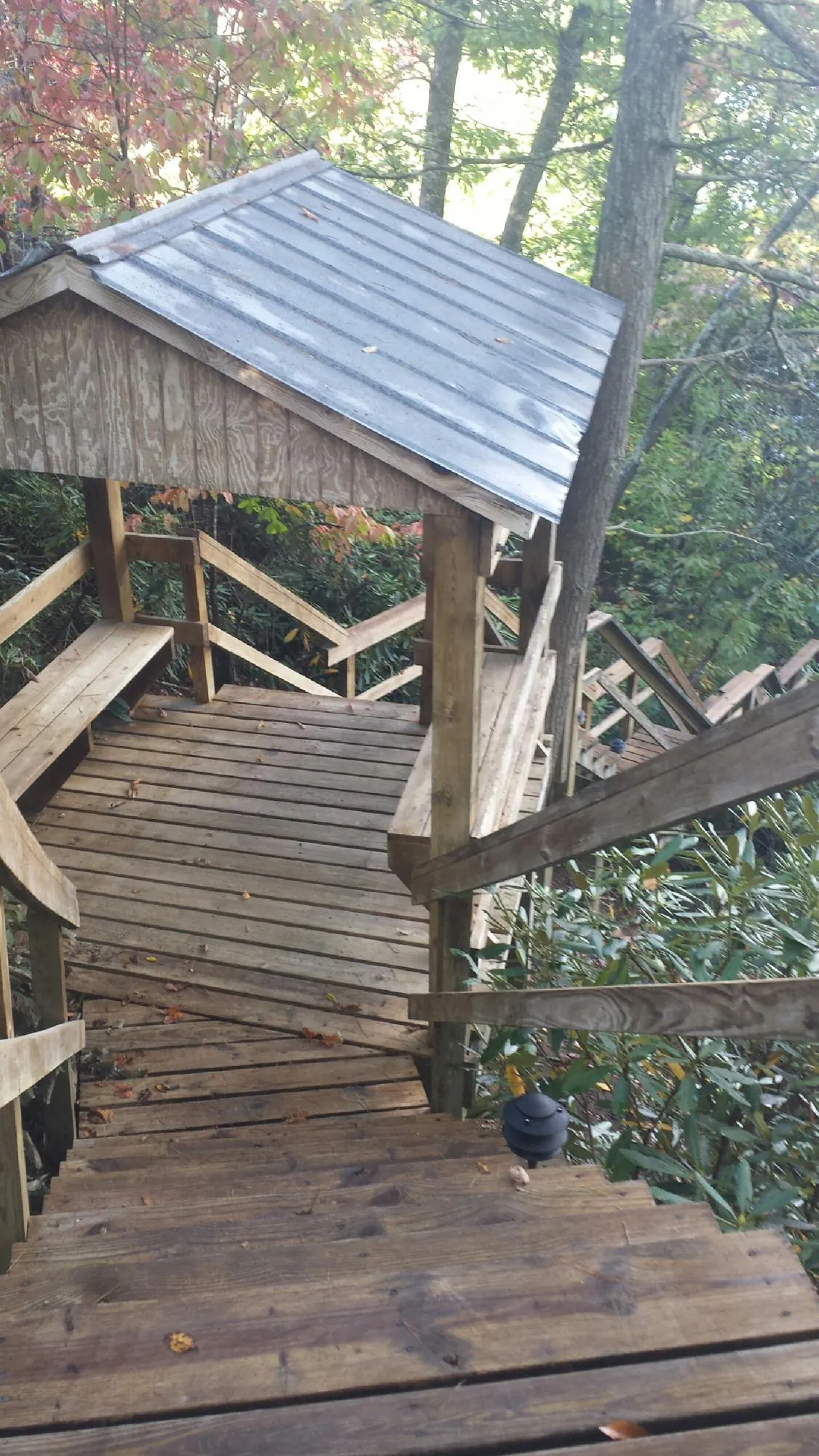 Metal roofed shelter over wooden steps on a wooded walkway in Waynesfield