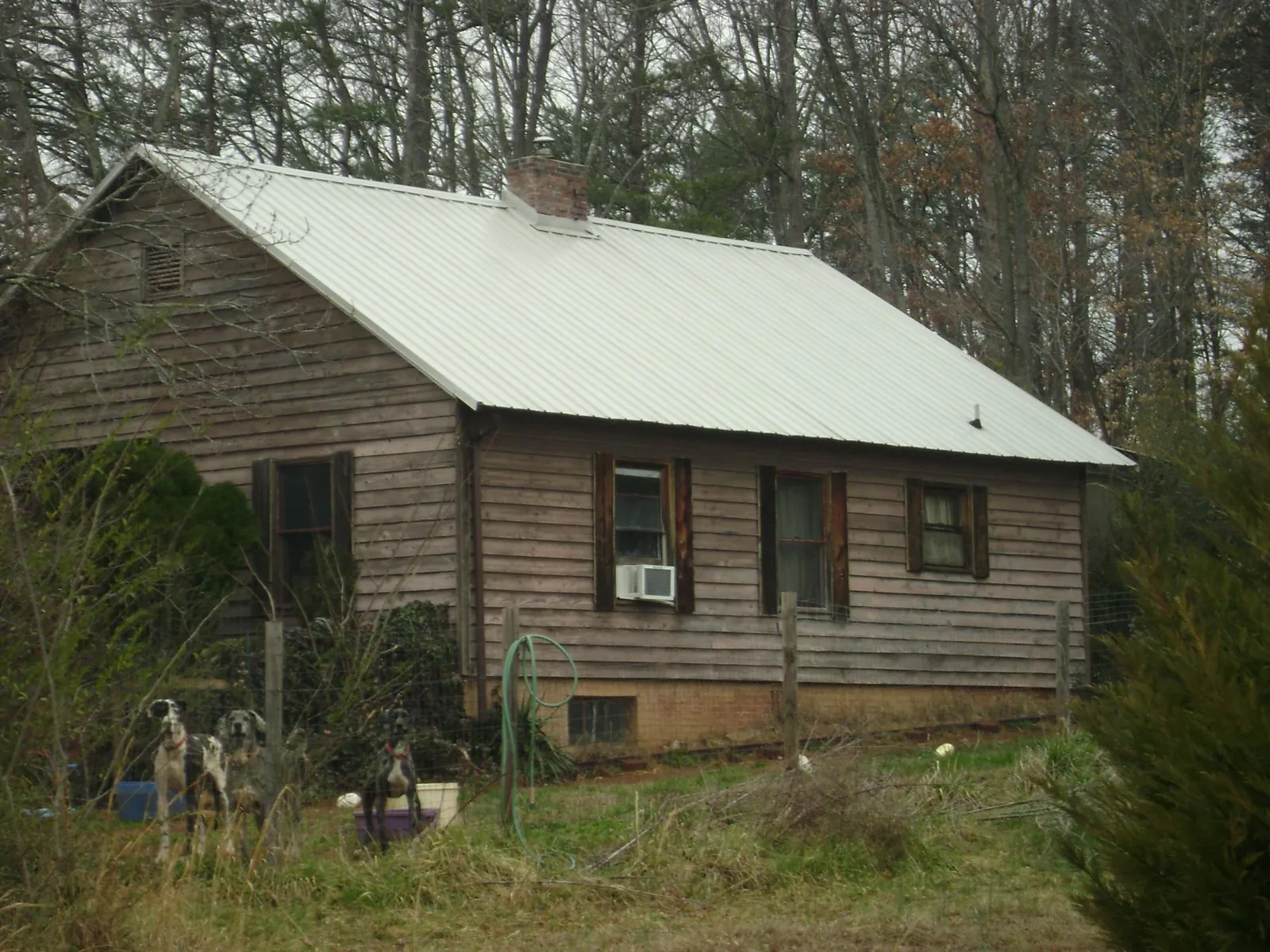 White metal roof on an old wood sided farmhouse, from a Asphalt Shingle Roof Repair job in Waynesfield